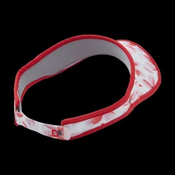 FJ Visor
